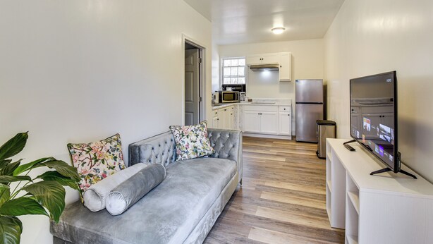 A modern living room with a grey sofa, a flat-screen TV, and a potted plant. - Hike & Sip in North Georgia: Apartment w/ Deck (Alto)