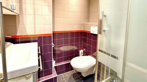 A bathroom with a toilet, a sink, and a shower area. - Paris Loft for 4 by Châtelet & Montorgueil & Metro (PARIS)