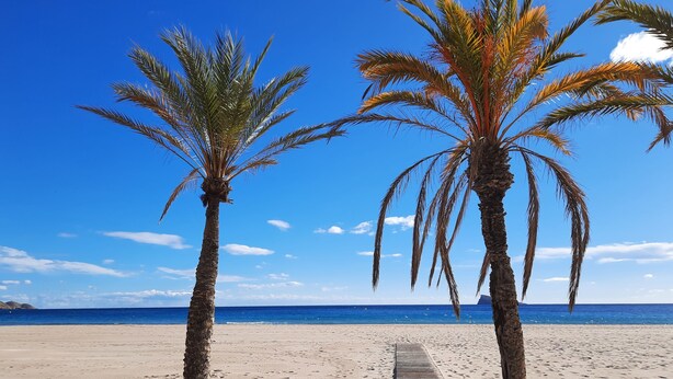 A beach with two palm trees and a wooden walkway. - Cala Alta Apartments (Villajoyosa)