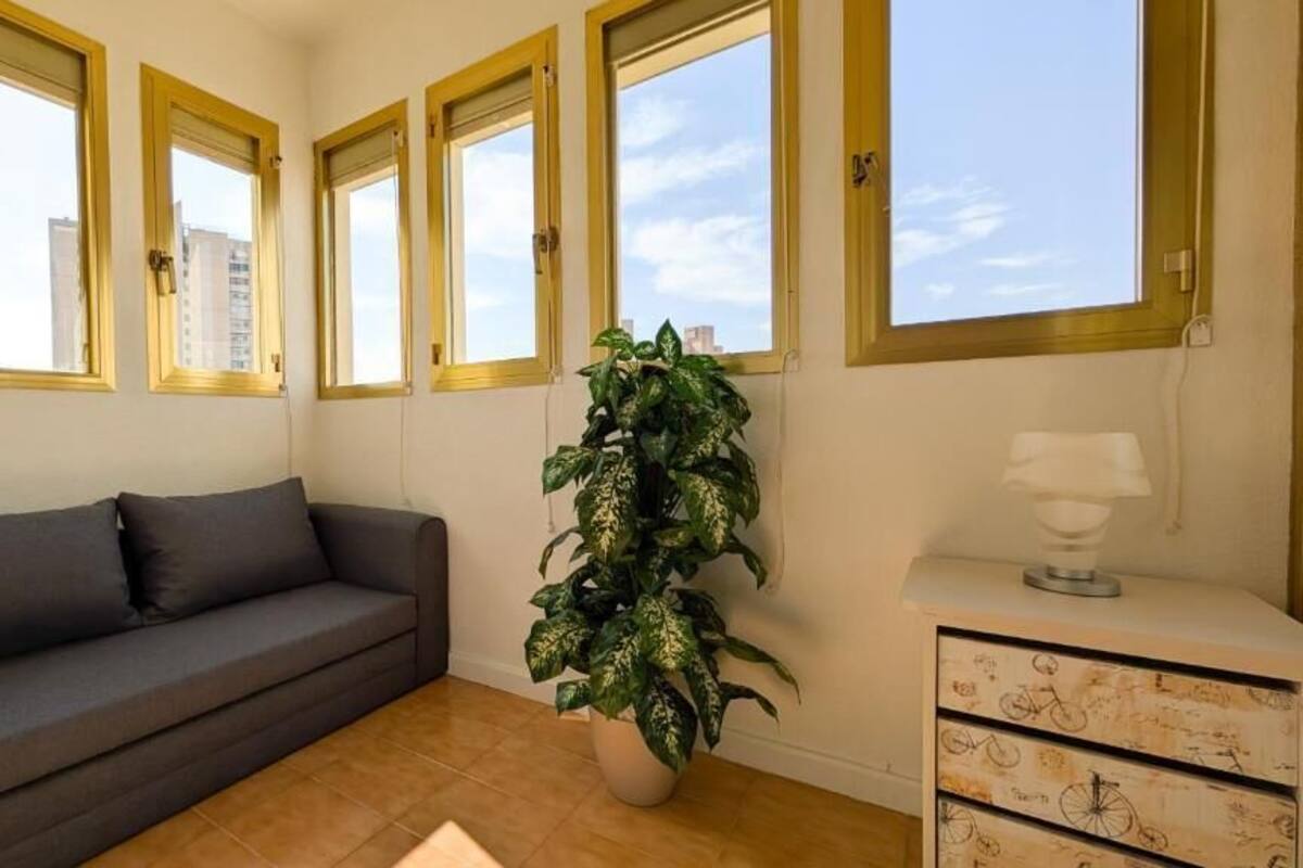 A living room with a grey sofa, a potted plant, a white dresser with a lamp, and four windows with yellow frames.
