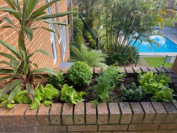 Property grounds - Araluen, a coastal one-bedroom retreat close to river, cafés, town and beaches (Port Macquarie)