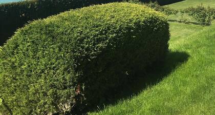 4-bedroom Villa in Cologny Geneva with Lake View