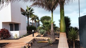 A modern building with a minimalist design, surrounded by a landscaped garden with various plants and a paved walkway. - Serenidad del Sol Fuerteventura (Villaverde)