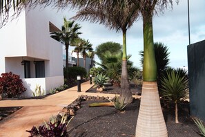 Property grounds - Serenidad del Sol Fuerteventura (Villaverde)