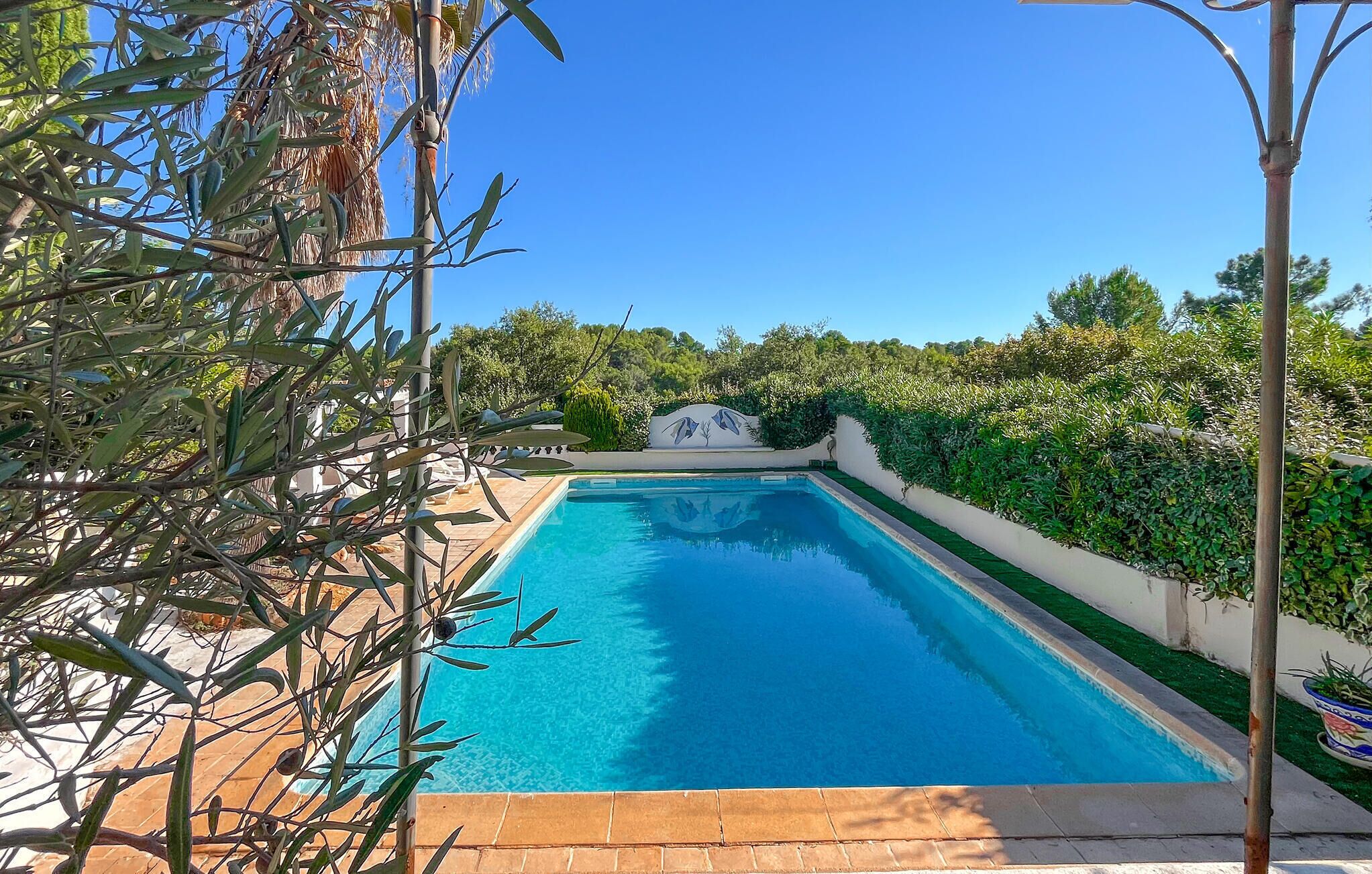 A rectangular swimming pool with clear blue water, surrounded by a well-maintained garden and a white wall with a mountain mural.
