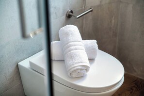 Dusche, Haartrockner, Bidet, Handtücher