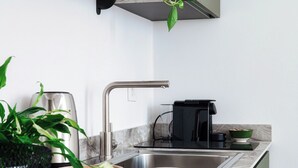 Een moderne keuken met een roestvrijstalen spoelbak, een koffiezetapparaat en een potplant.