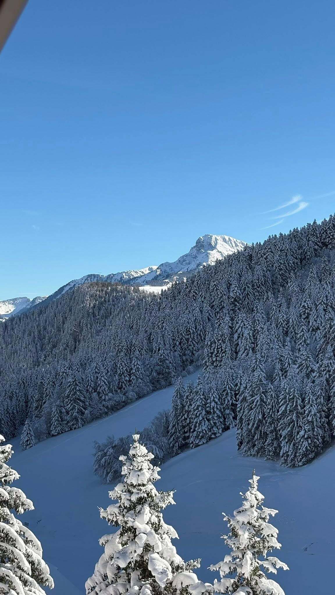 Een besneeerd berglandschap met dichte bossen en een helderblauwe lucht.