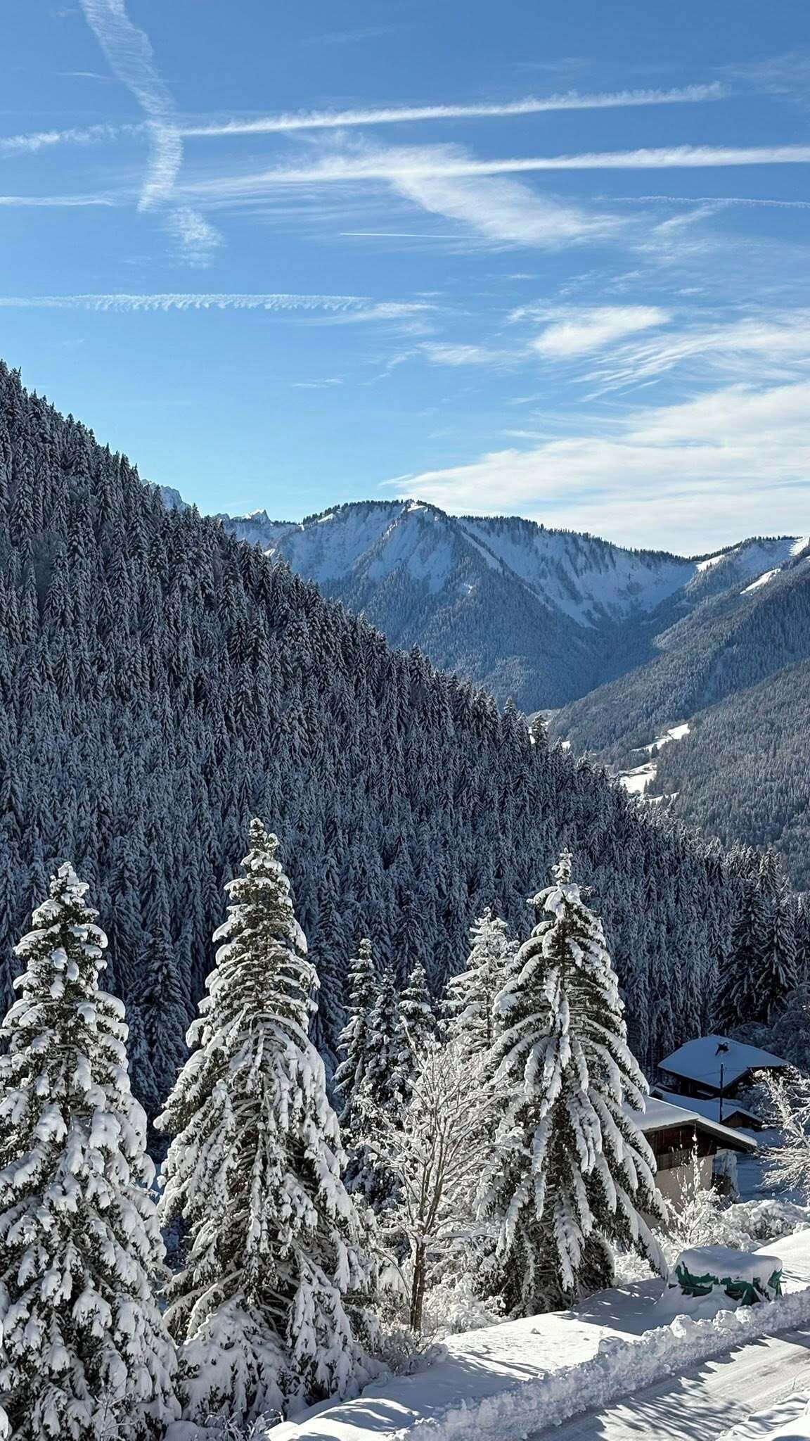 A snow-covered mountain landscape with dense forests and a cabin in the foreground.