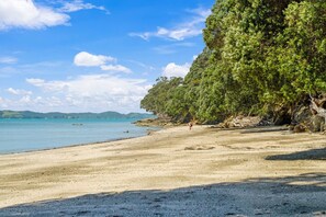 Beach - Seaside Premium Home with Spa Pool near Beach (Auckland East)