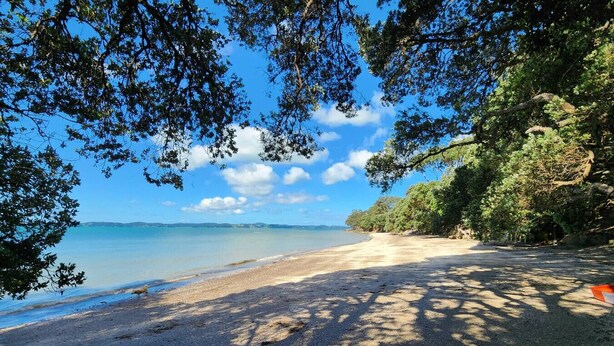 A beach with clear blue water, sandy shore, and dense greenery. - Seaside Premium Home with Spa Pool near Beach (Auckland East)