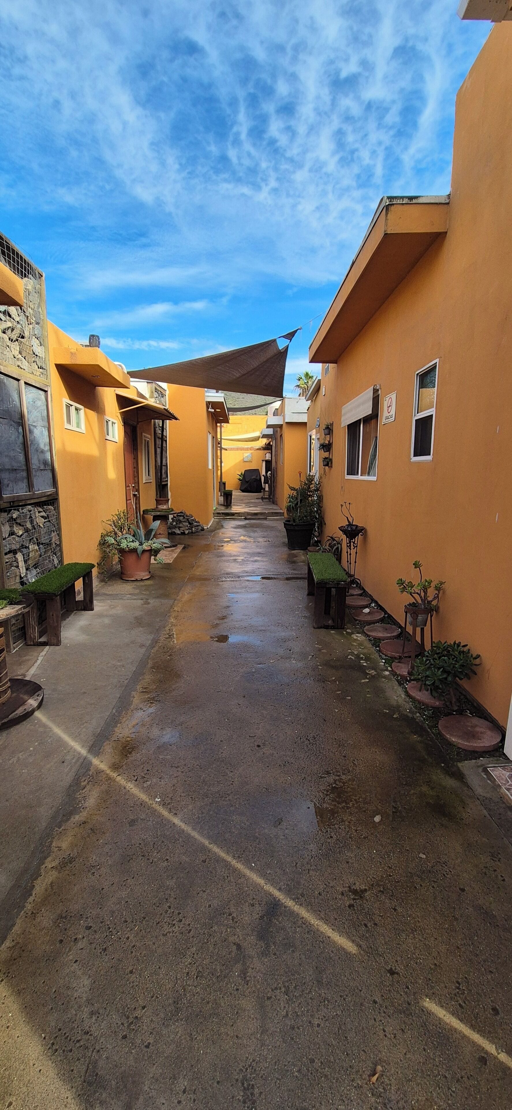 Un callejón estrecho con edificios amarillos, plantas en macetas y un banco.