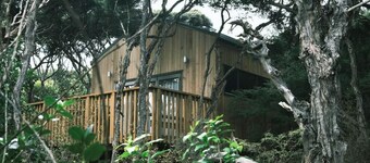Modern, Cosy Hideaway - Rua Nuka Cabin Ruapuke, Raglan