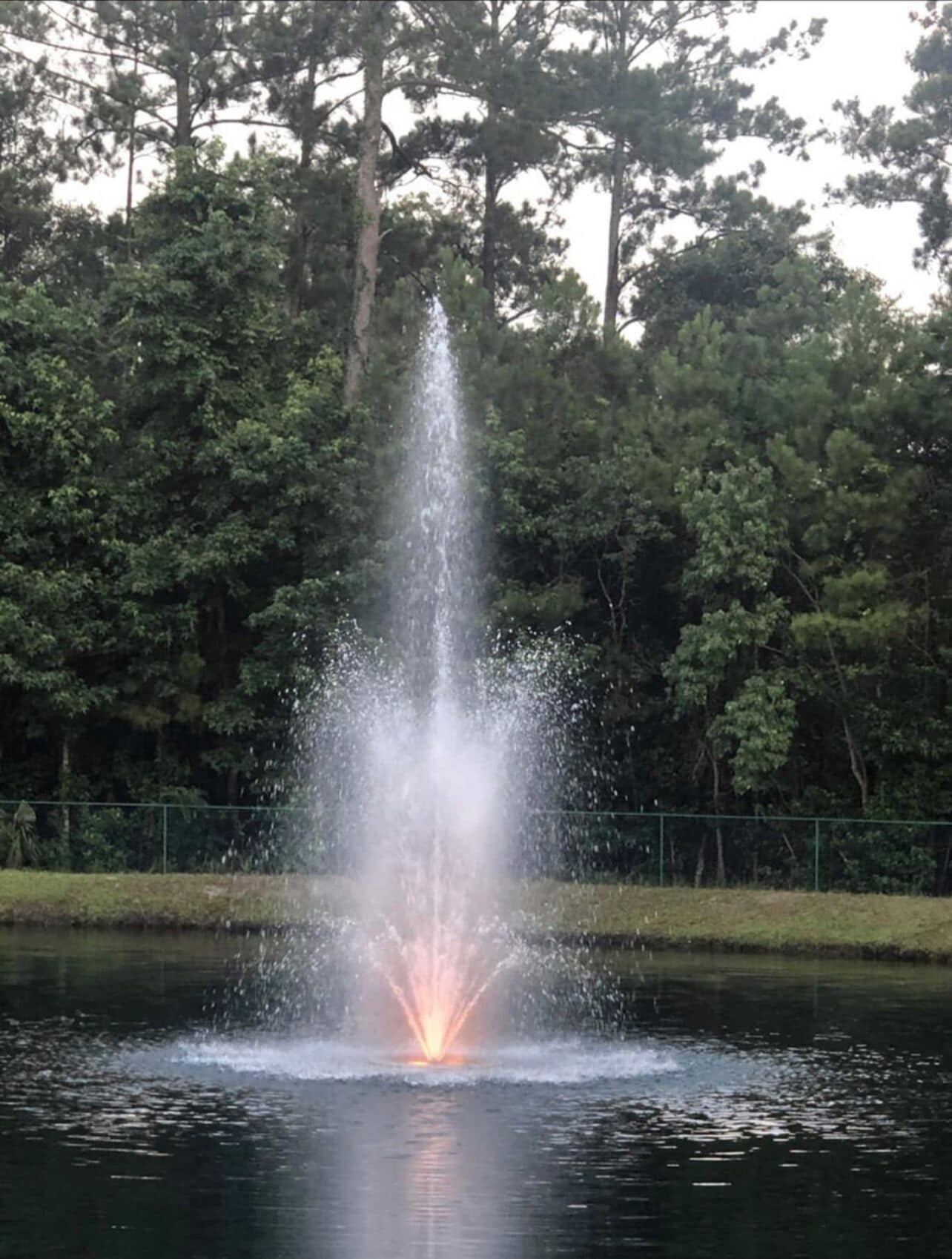 Overnatningsstedets område