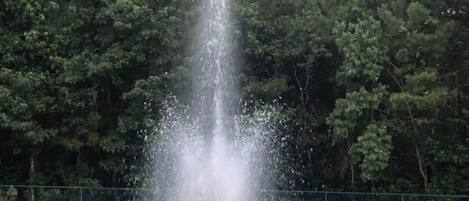 Overnatningsstedets område