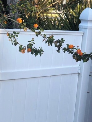 تفاصيل الفندق من الخارج