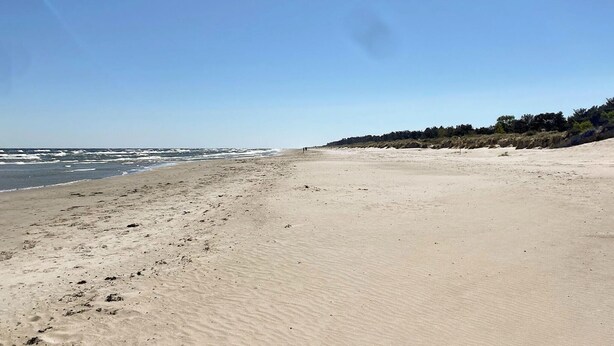 A wide sandy beach with gentle waves, a clear sky, and a forested area in the background.