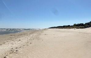 A wide sandy beach with gentle waves, a clear sky, and a forested area in the background.