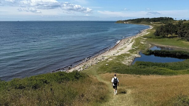 A coastal landscape with a person walking along a grassy path beside a body of water. - Inviting summer house on scenic Røsnæs. (Kalundborg)
