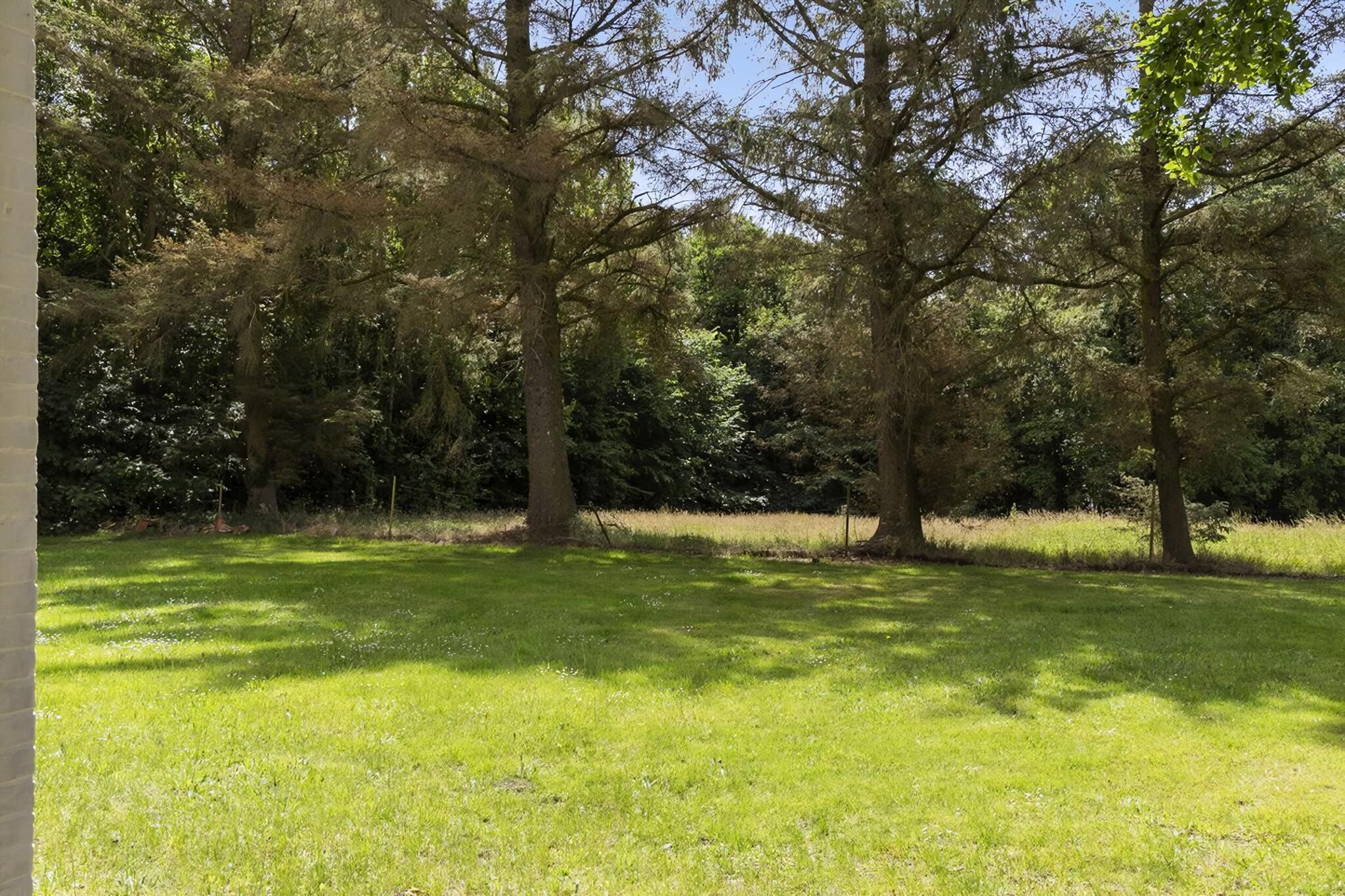 Une zone herbeuse avec des arbres et un ciel dégagé.