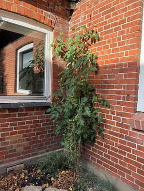 Exterior detail - The coziest farm holiday in the countryside (Tommerup)