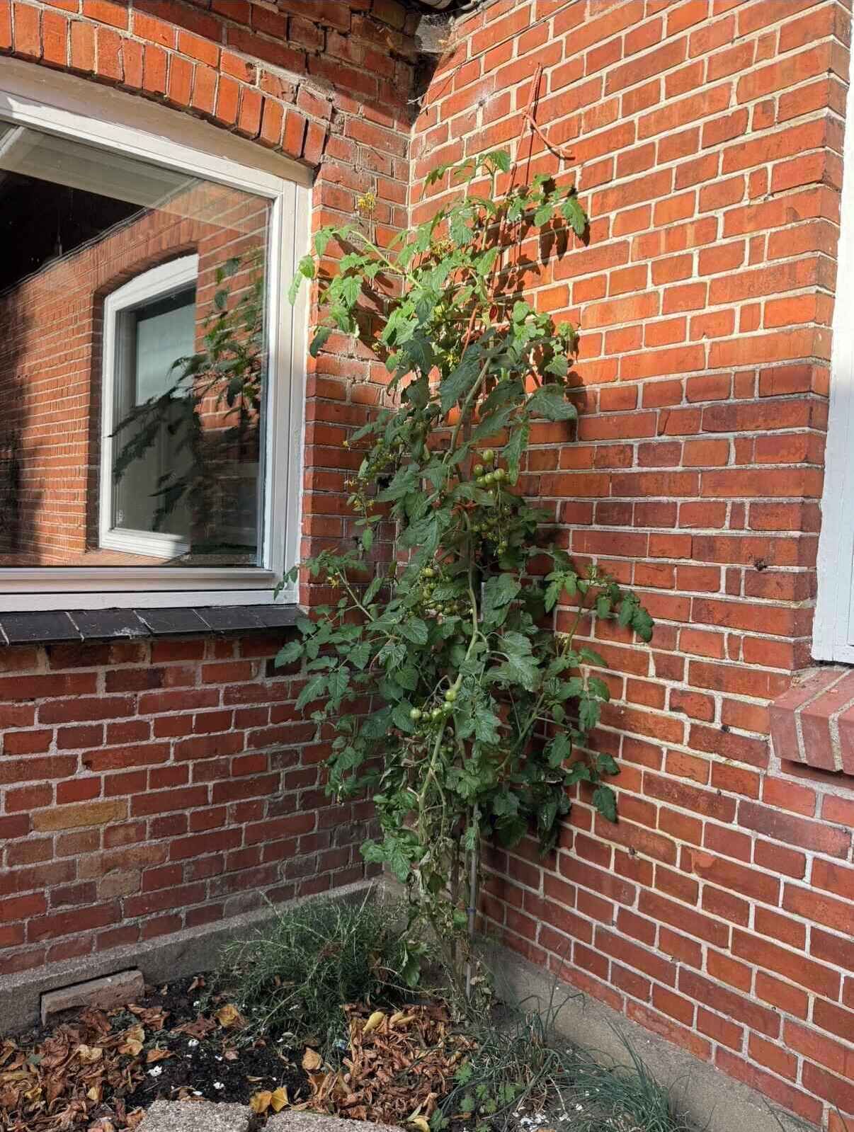 تفاصيل الفندق من الخارج