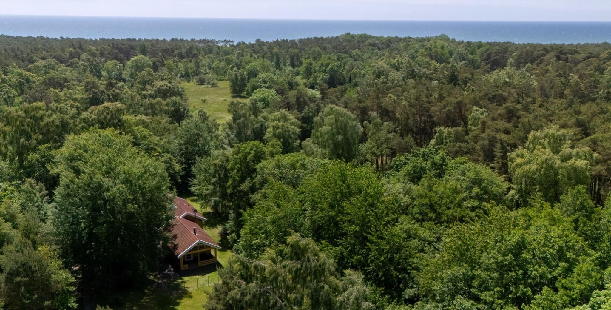 An aerial view of a forested area with a single house featuring a red roof, surrounded by dense trees and a clear view of the ocean in the background.
