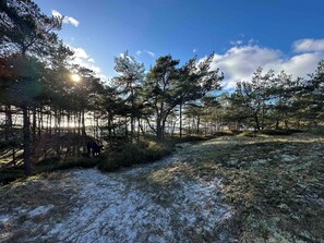 Luokittelematon kuva, 3 kautta 13, painike