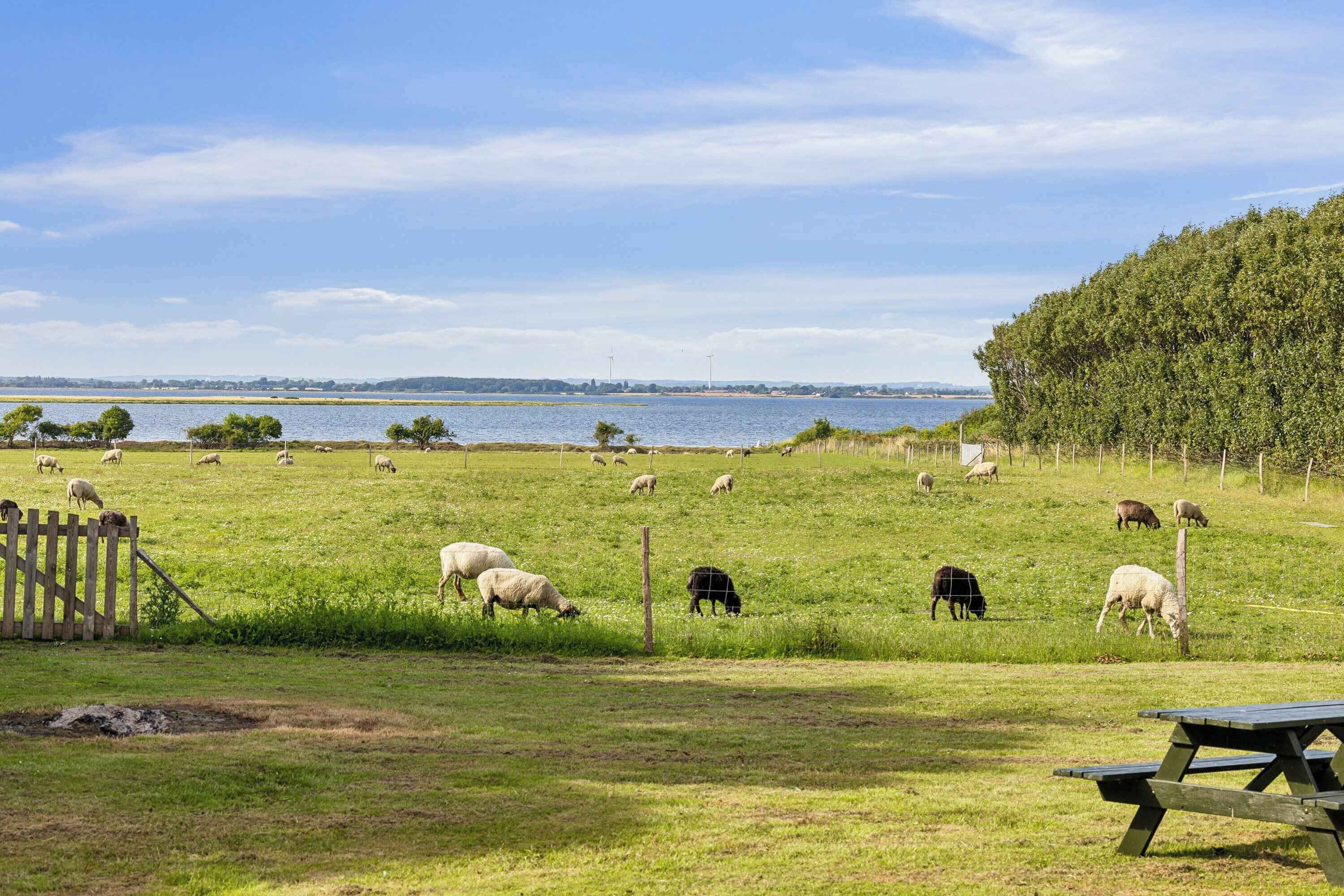 Overnatningsstedets område