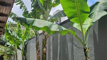Detalhe da fachada