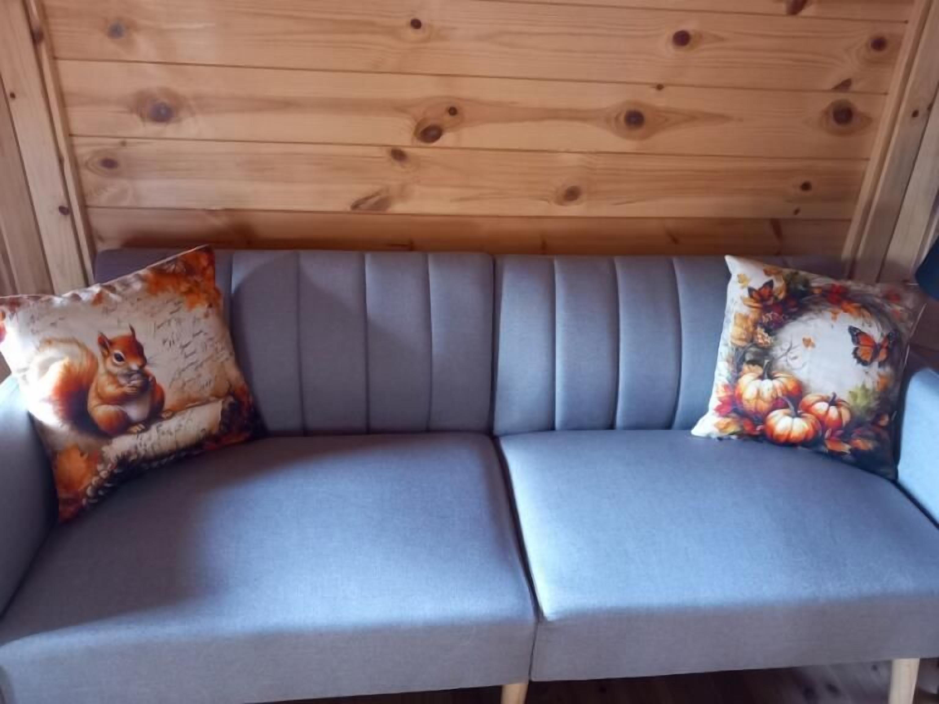 Un canapé gris recouvert de tissu, agrémenté de deux coussins décoratifs, l’un représentant un écureuil et l’autre orné d’un motif floral.
