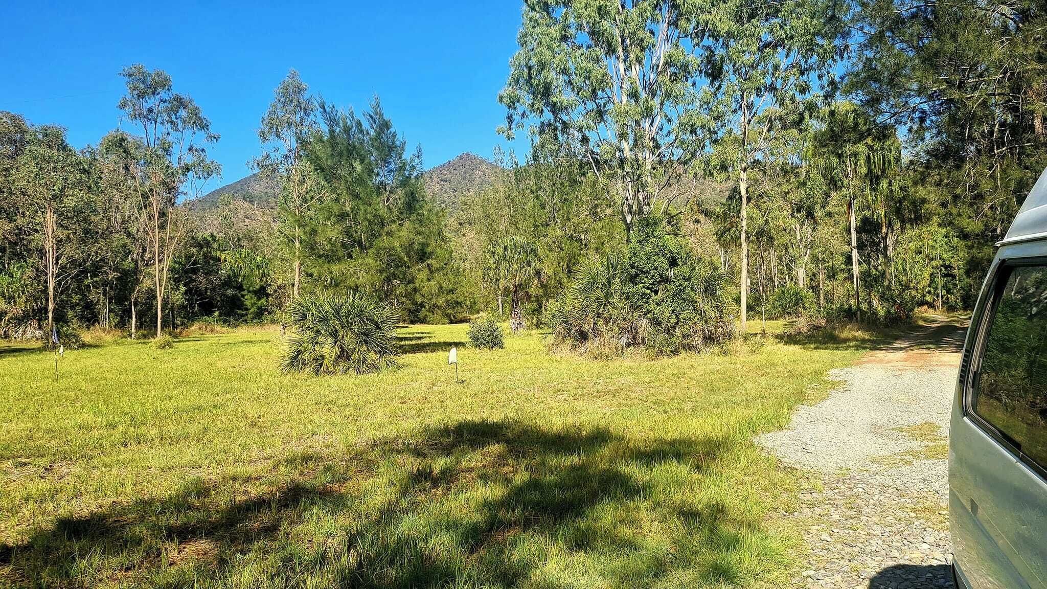 A grassy area with trees and a gravel path.