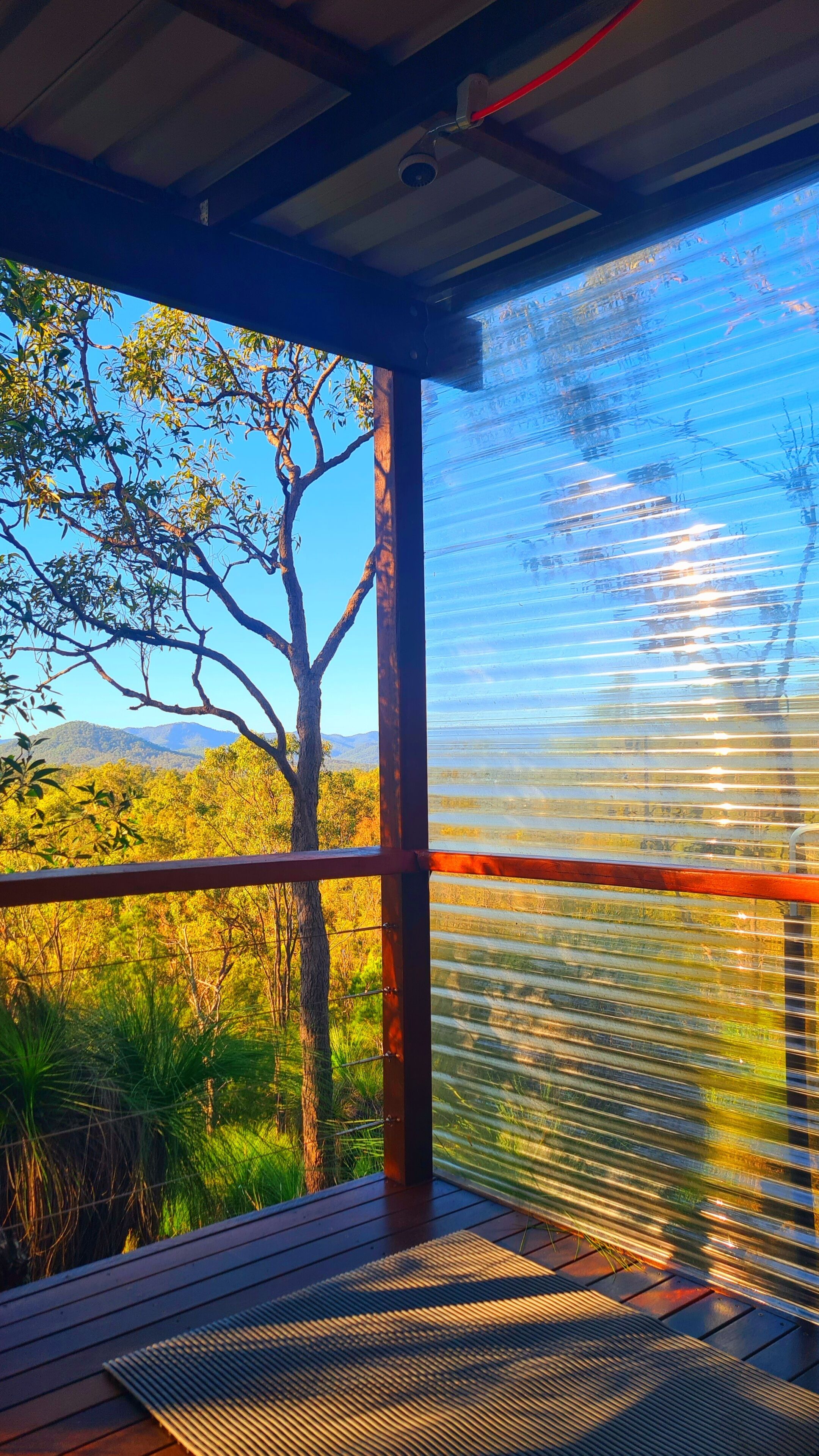 Une terrasse en bois offrant une vue sur un arbre et un paysage.