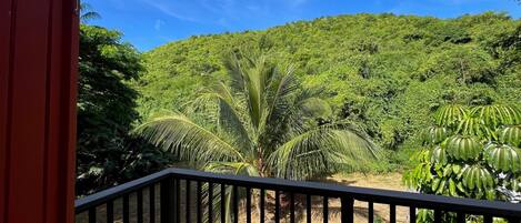 Overnatningsstedets område