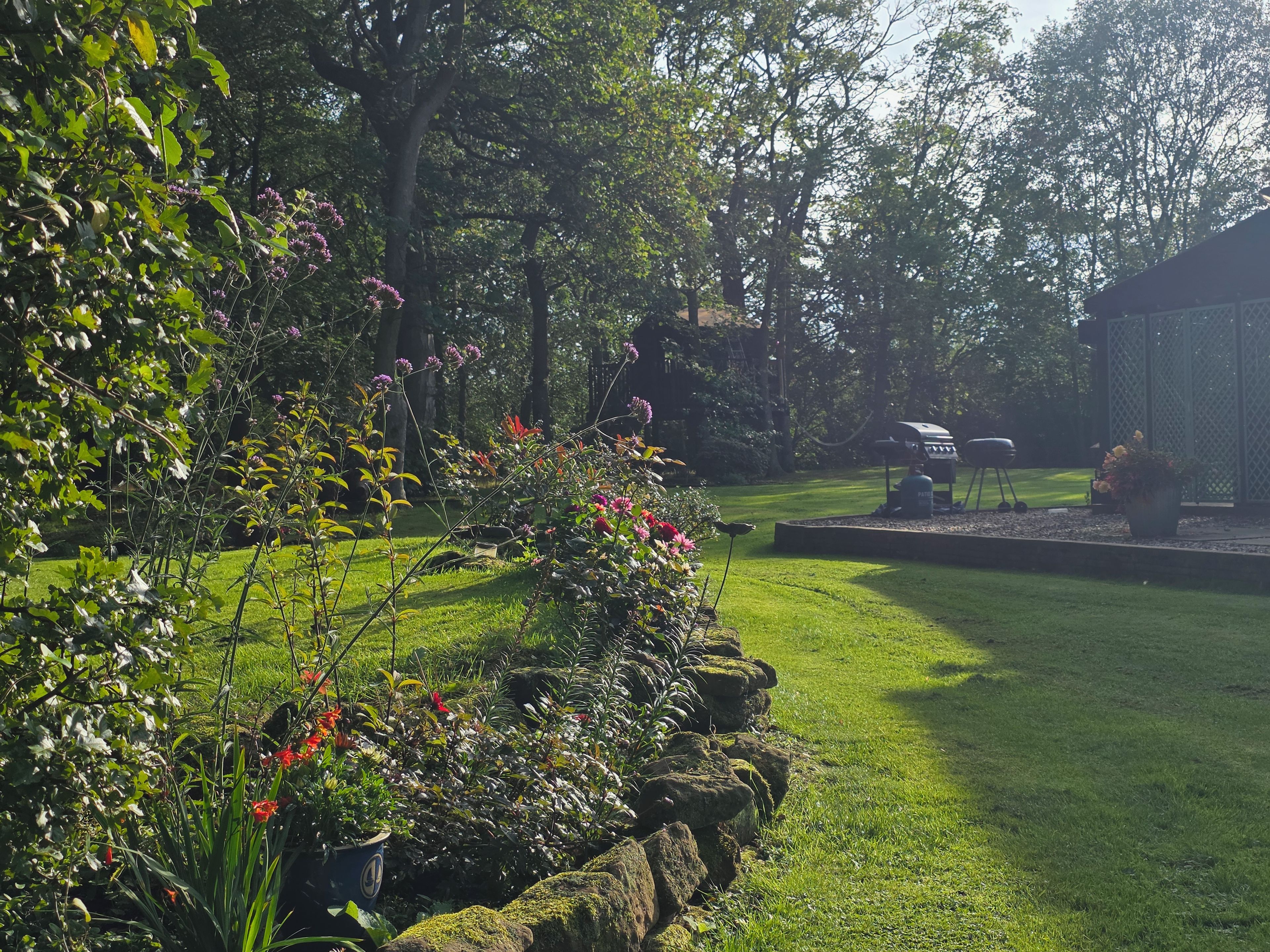A well-maintained garden with a variety of plants and a lawn.