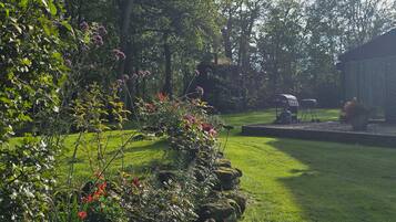 A well-maintained garden with a variety of plants and a lawn.