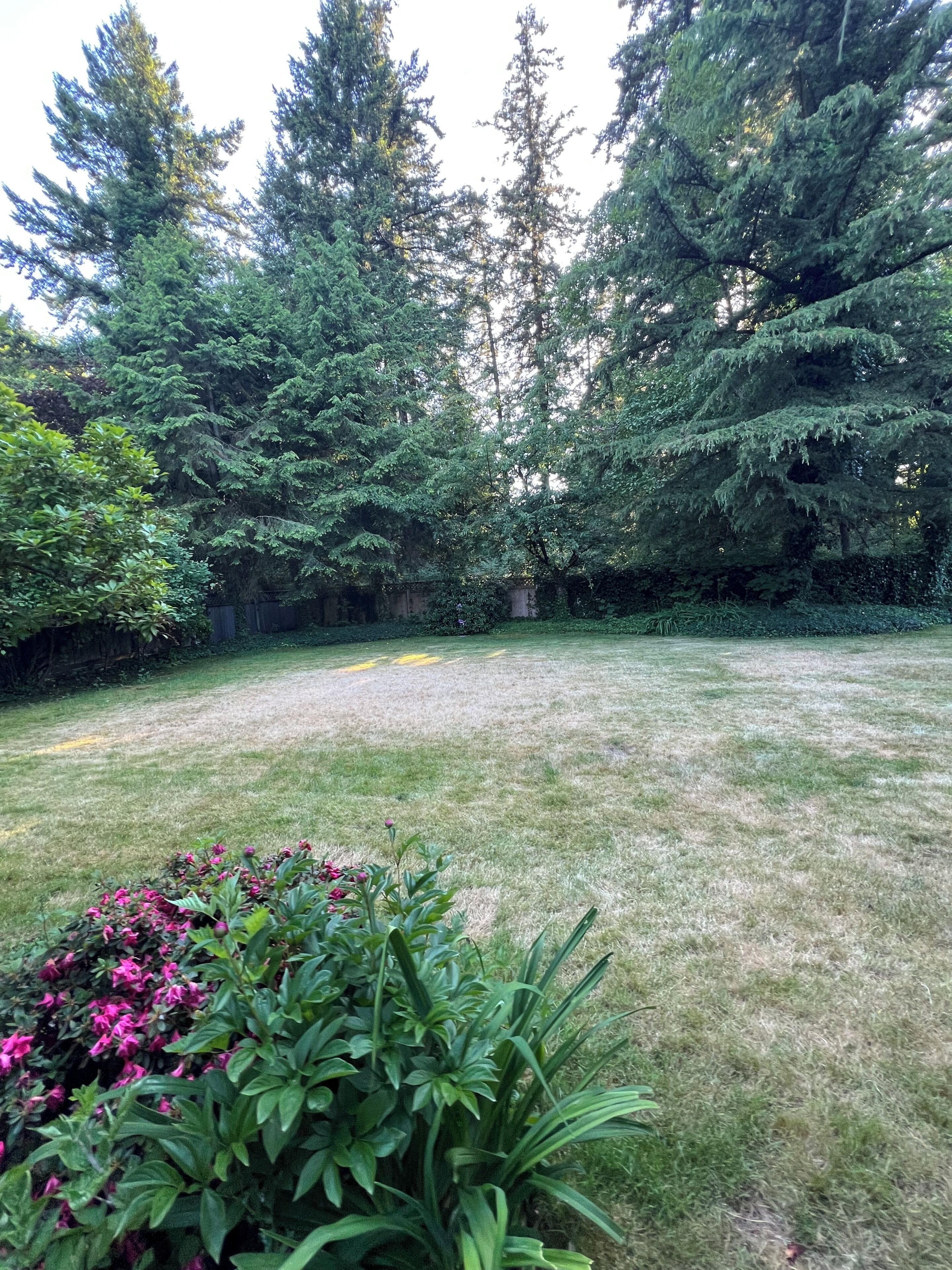 Une cour verdoyante, avec de nombreux arbres et un parterre de fleurs au premier plan.
