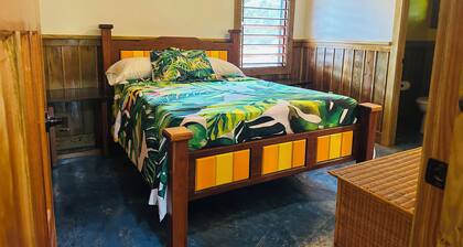 Nature Stay | Howler Monkeys | AC | WiFi