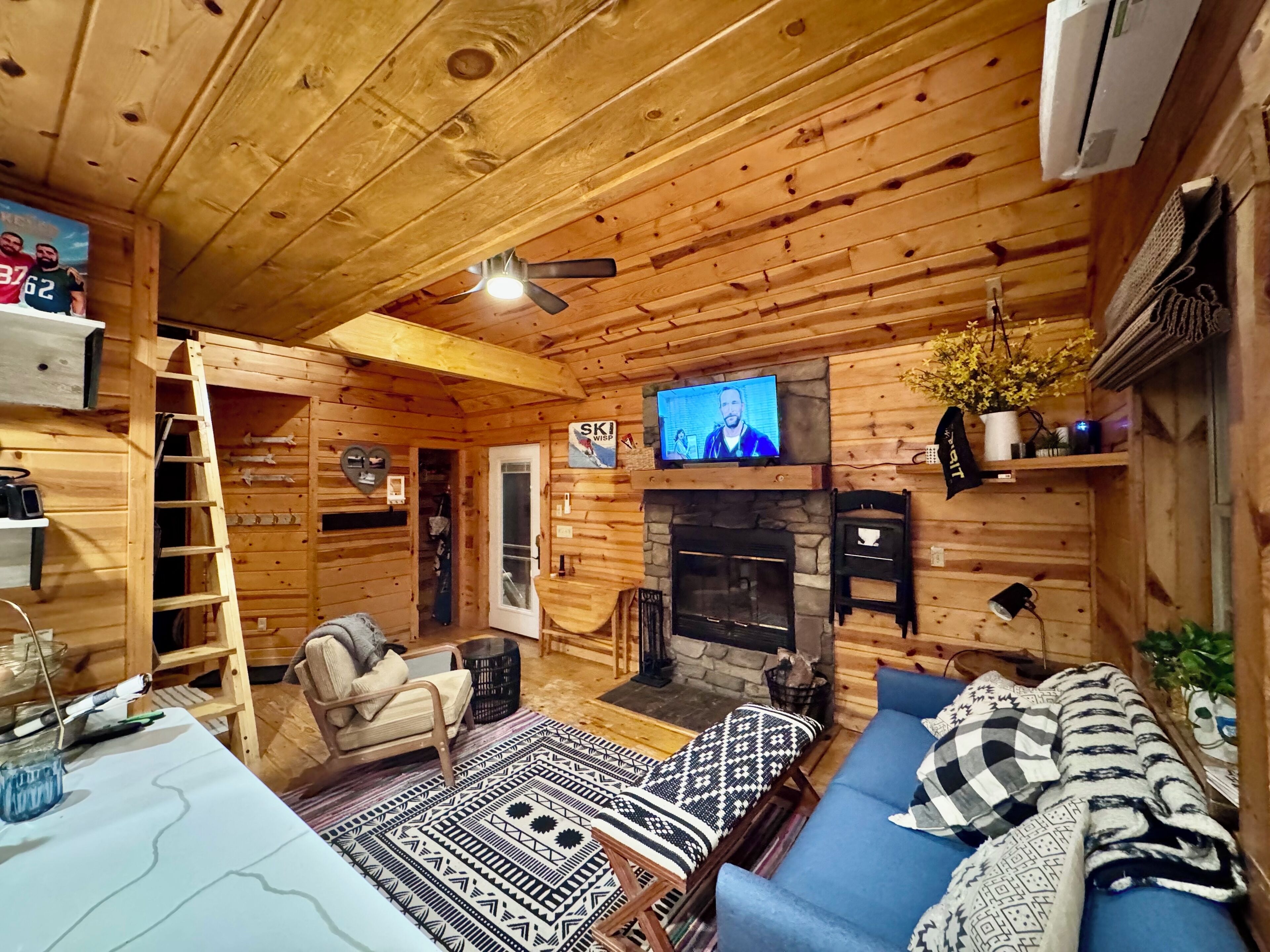 TV, fireplace