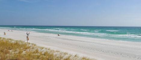 A beach with sand and grass, a clear sky, and the ocean.