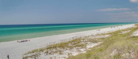 بالقرب من الشاطئ