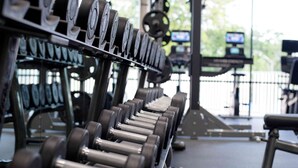 En rad hantlar på ett ställ i ett gym.