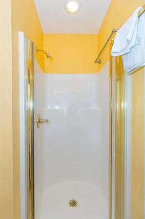 Chuveiro, secador de cabelo, toalhas de banho, shampoo