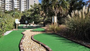 Un campo de mini golf con césped artificial verde, un sendero de grava y vegetación circundante.