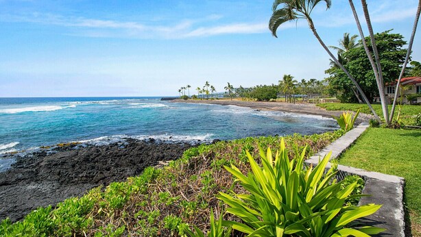 A coastal landscape with a rocky shoreline, a grassy area with plants, and a row of palm trees.