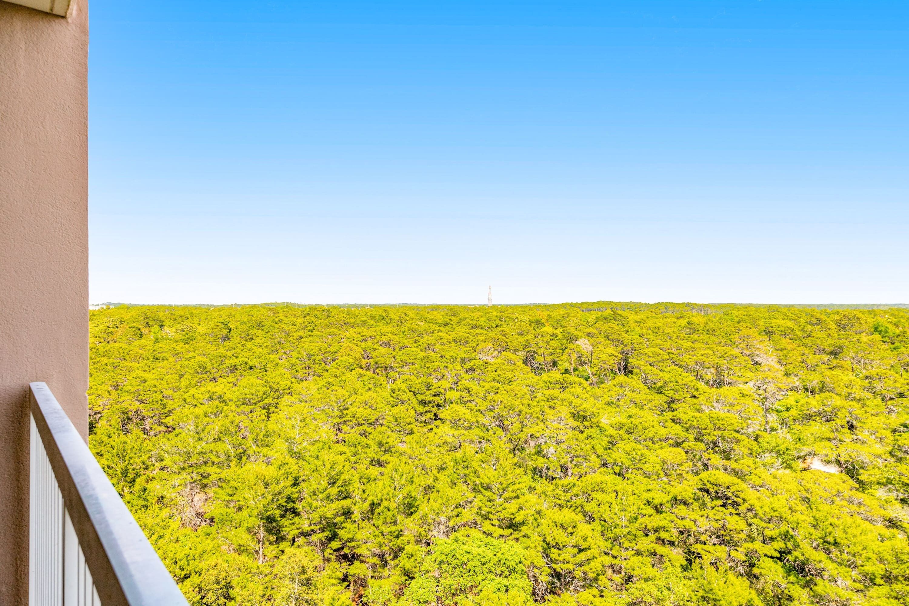 Un balcón con vista a un bosque verde y frondoso.