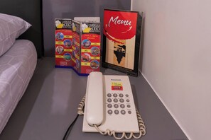 客房 (Regular Garage)