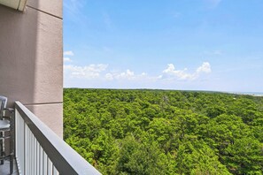 A balcony with a view of a dense forest and a clear sky. - Exclusive beachfront studio for 2 (Miramar Beach)