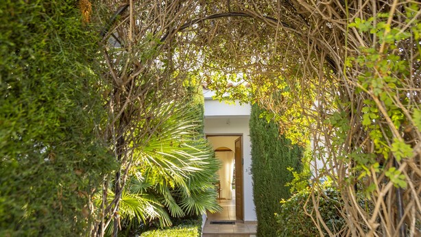 A pathway leading to a building entrance surrounded by dense greenery and a well-maintained hedge. - Villa Relax, just steps from Latchi beach with a private pool and terraces. (Latchi Beach)