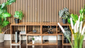Una sala de estar moderna con un televisor de pantalla plana montado en una pared de madera, rodeada de plantas en macetas y una mesa de centro de madera.